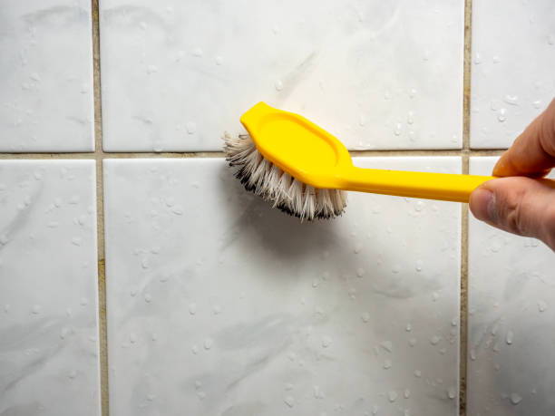Home Mold Removal in Paducah, TX