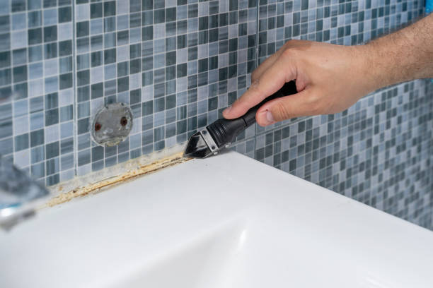 Best Certified Mold Removal  in Paducah, TX